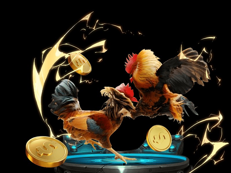 Nhà Cung Cấp Game